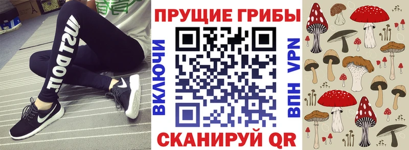 Купить где  Усть-Кут  Псилоцибиновые грибы ЛСД 